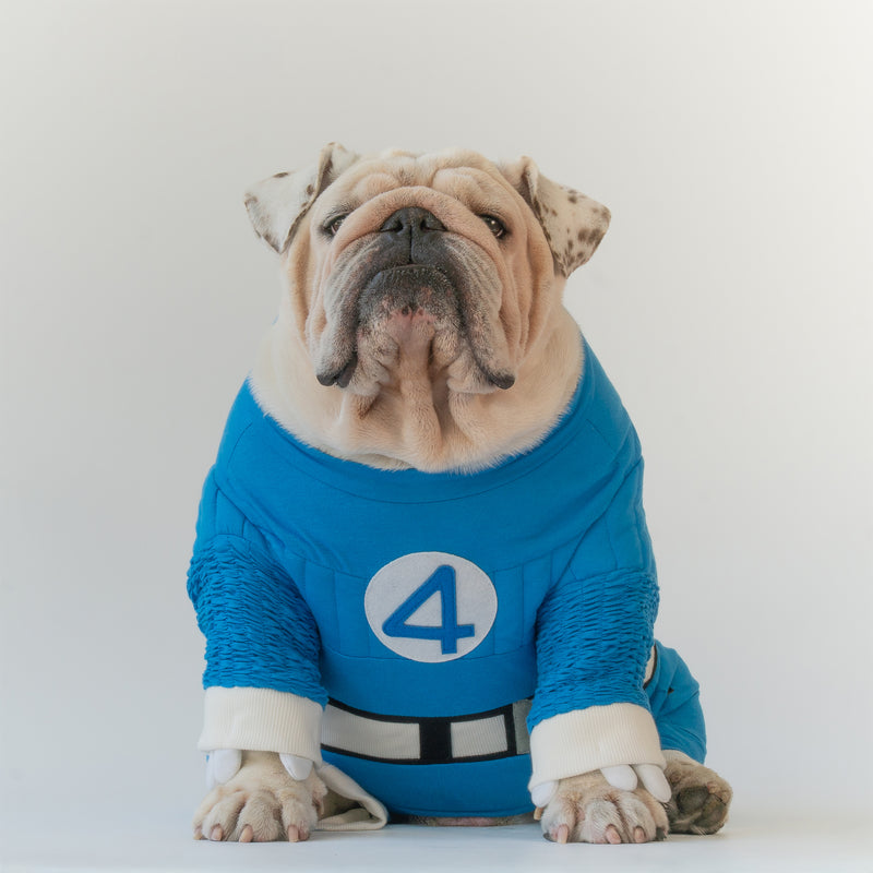 WONTON Fantastic Paws Mr. Fantastic costume
