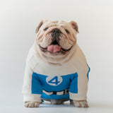 WONTON Fantstic Paws Torchie costume