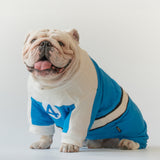 WONTON Fantstic Paws Torchie costume