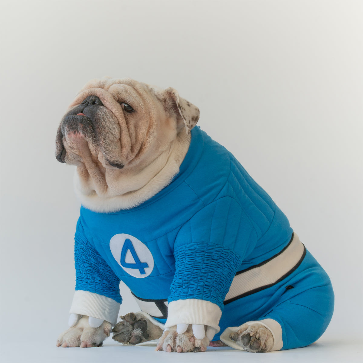 WONTON Fantastic Paws Mr. Fantastic costume