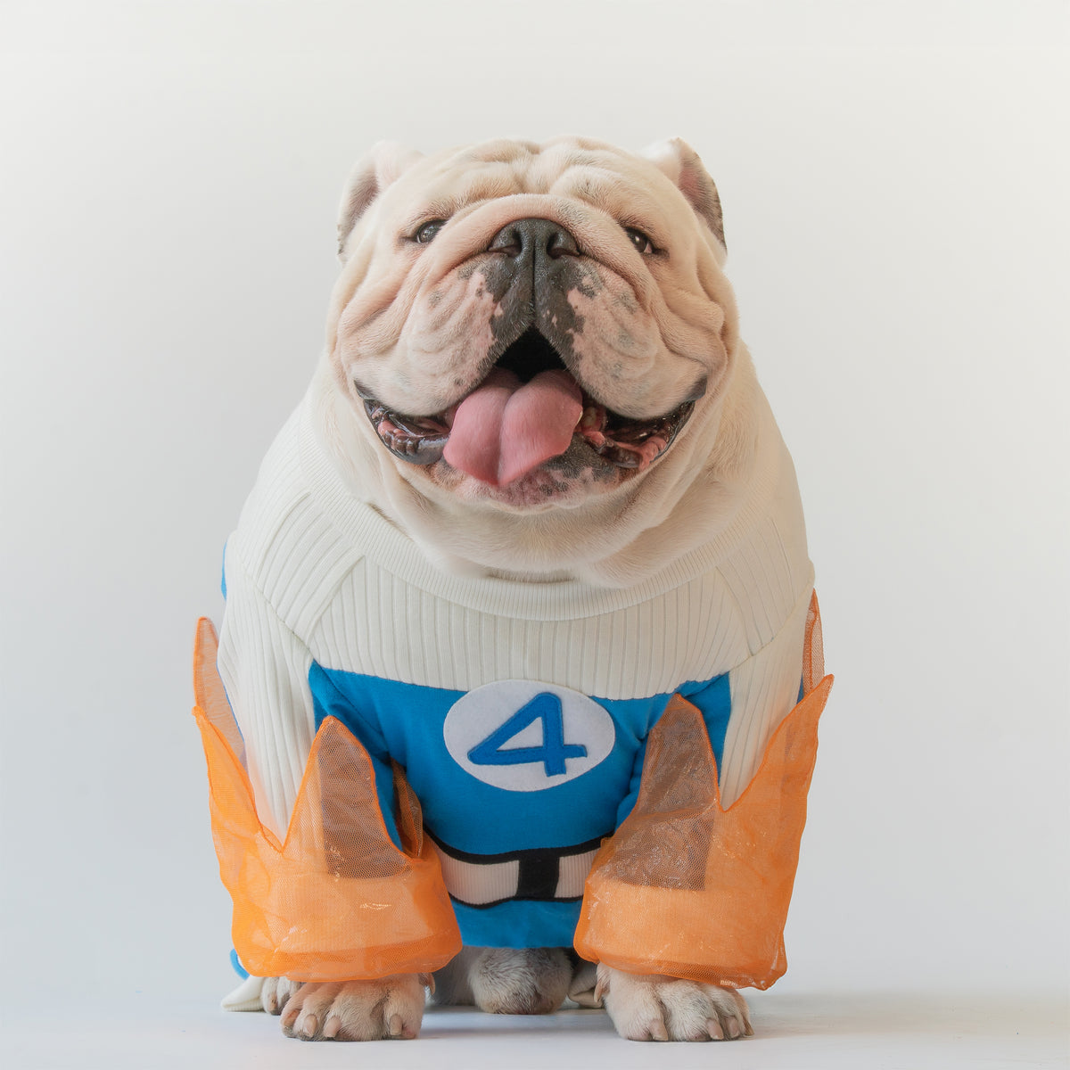 WONTON Fantstic Paws Torchie costume
