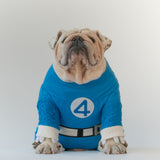 WONTON Fantastic Paws Mr. Fantastic costume