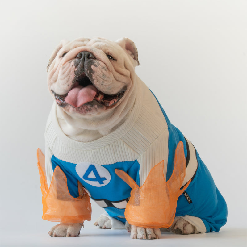 WONTON Fantstic Paws Torchie costume