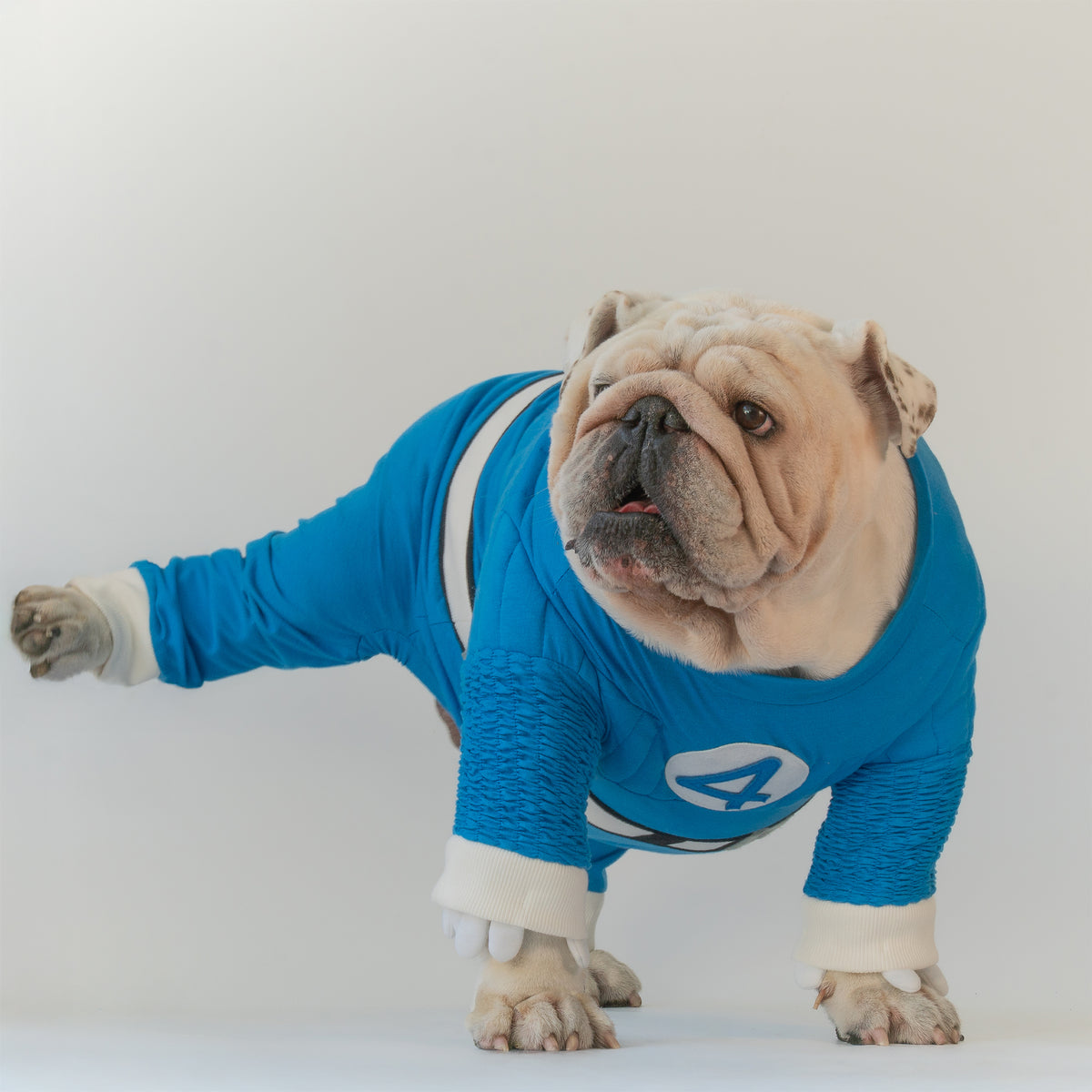 WONTON Fantastic Paws Mr. Fantastic costume