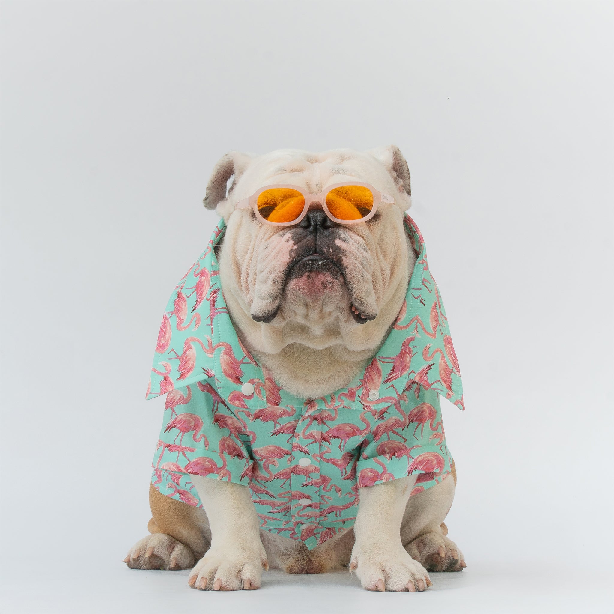 WONTON Flamingos shirt