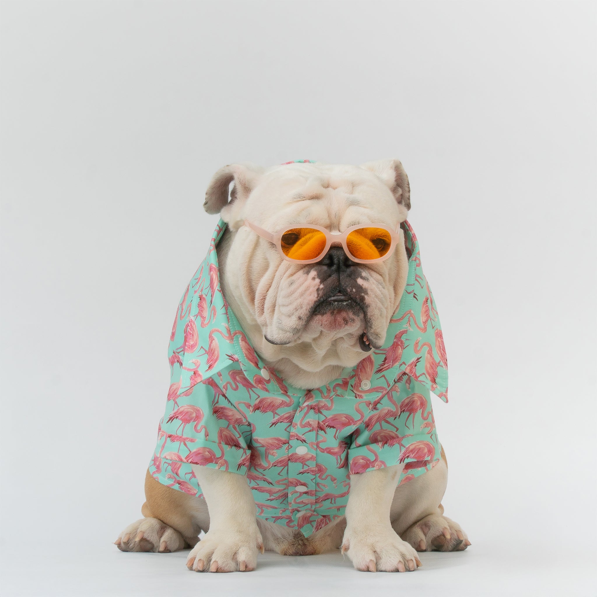 WONTON Flamingos shirt