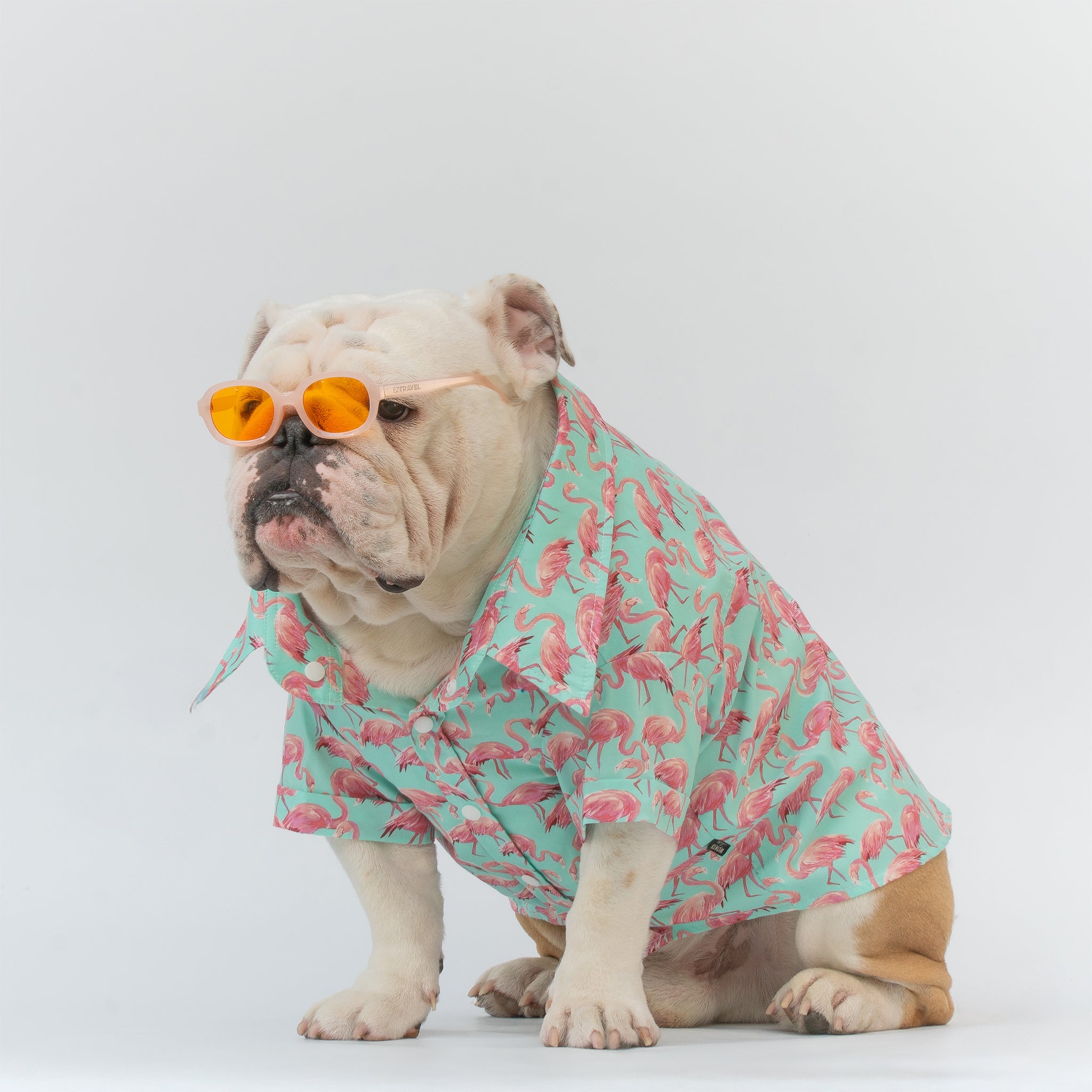 WONTON Flamingos shirt