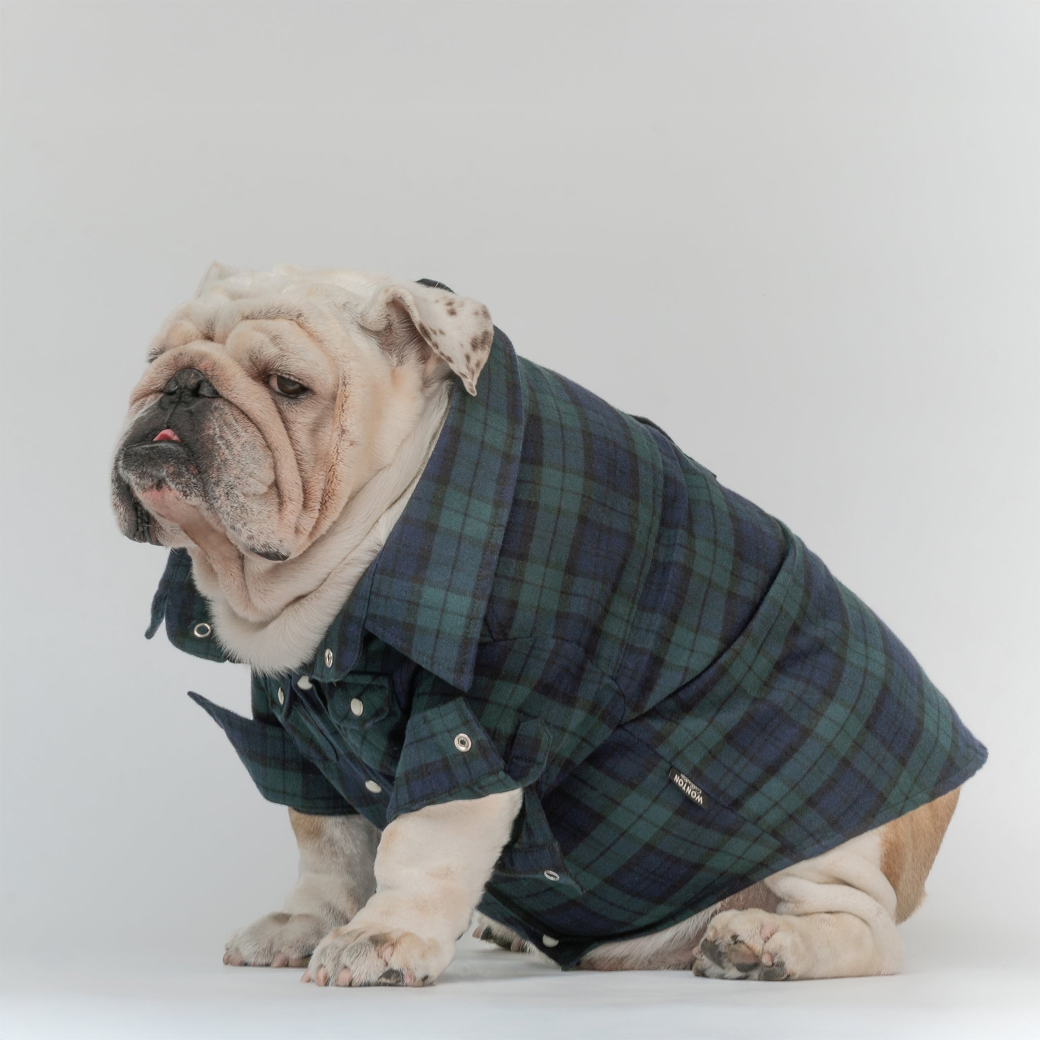 WONTON Flannelshirt in evergreen