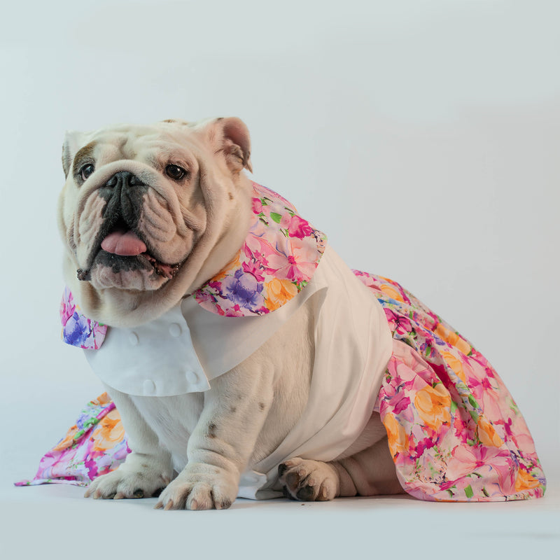 WONTON Floral Paradise dress