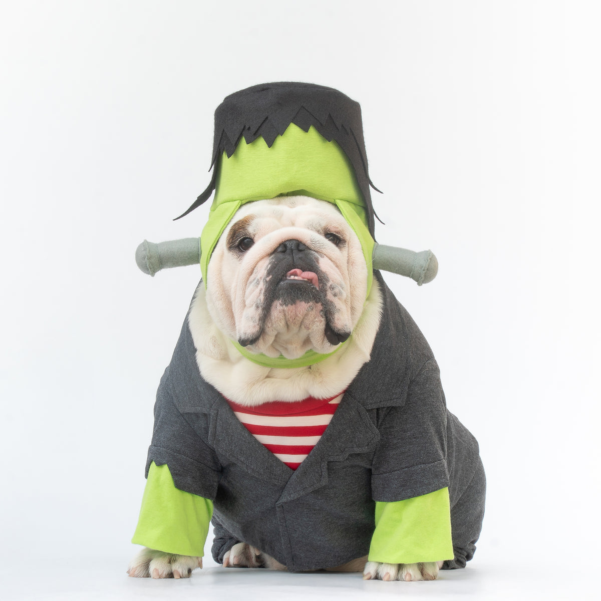 WONTON Be Frank costume