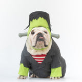 WONTON Be Frank costume