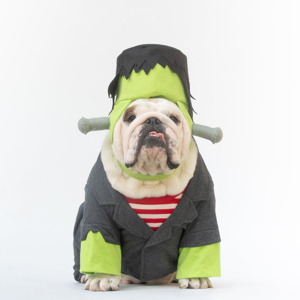 WONTON Be Frank costume