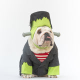 WONTON Be Frank costume