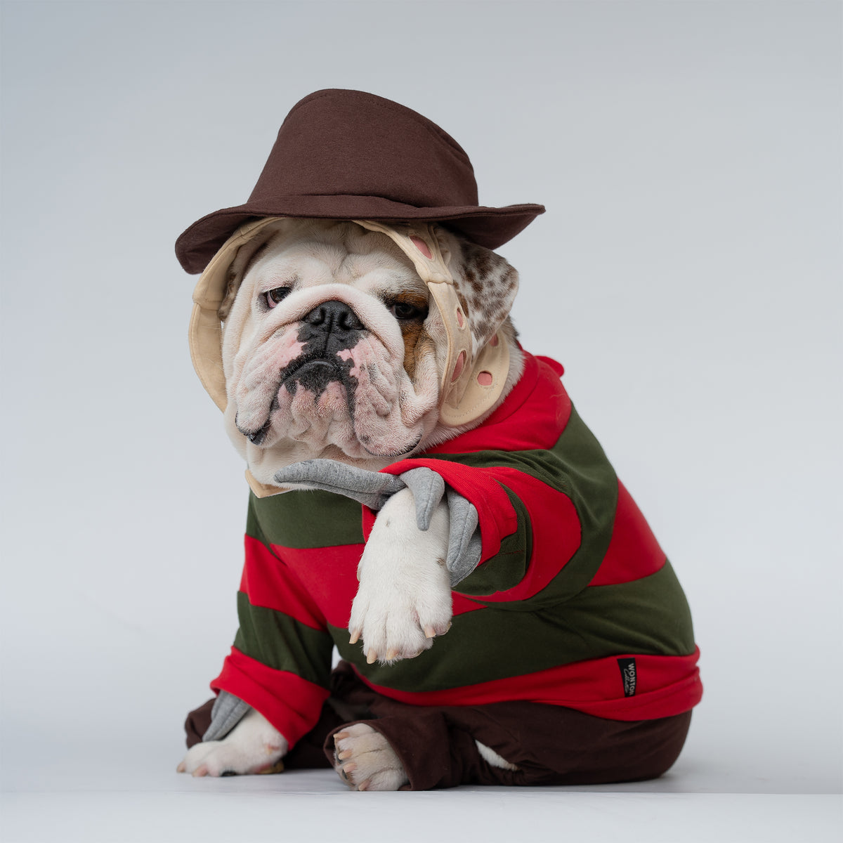 WONTON Freddy Chewger costume