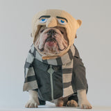 WONTON GRU costume