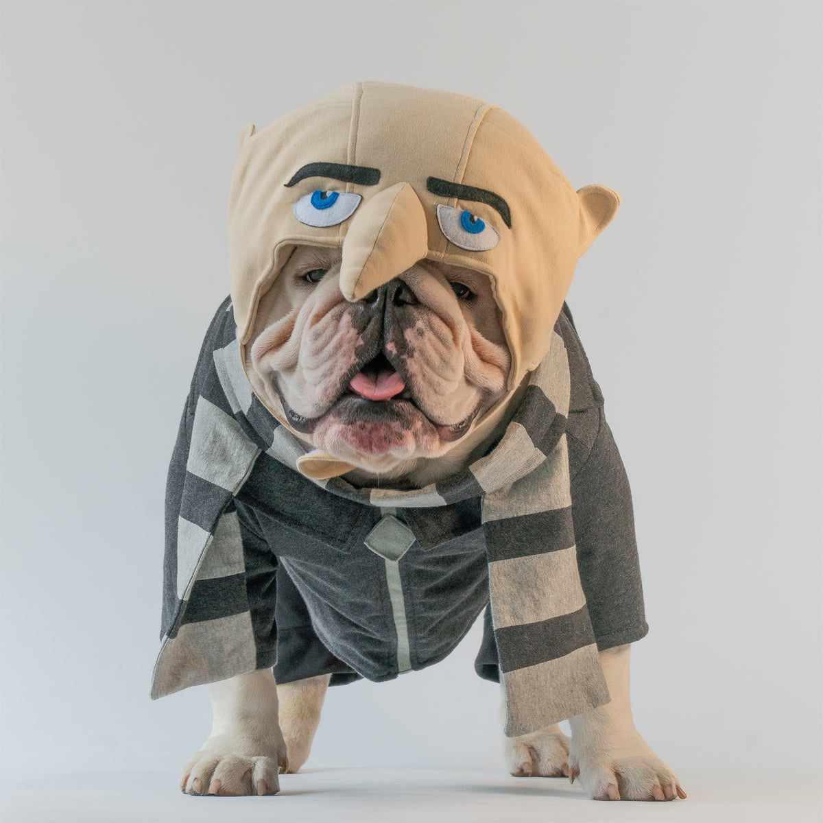 WONTON GRU costume