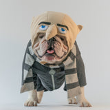 WONTON GRU costume