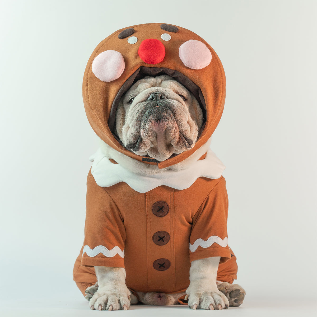 WONTON GingerBread costume, Christmas Special