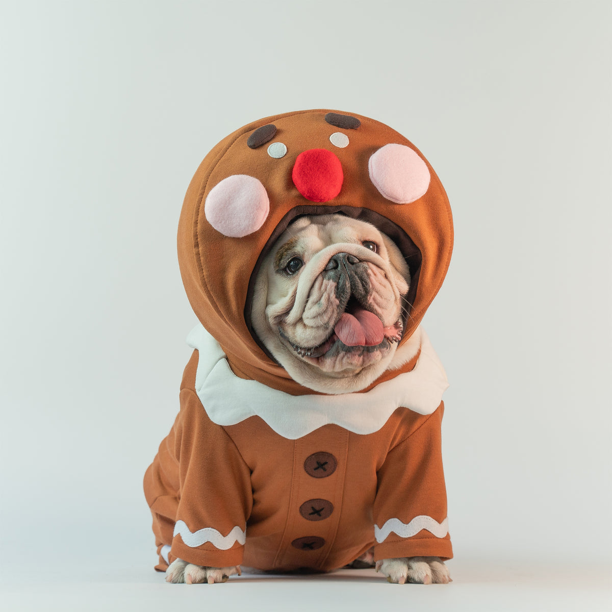 WONTON GingerBread costume, Christmas Special