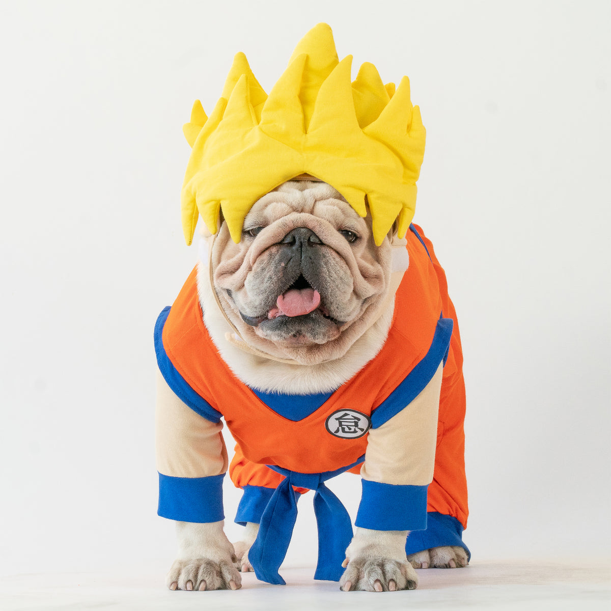 WONTON Goku costume