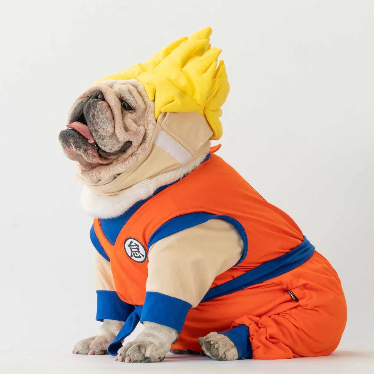 WONTON Goku costume