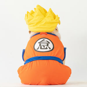 WONTON Goku costume