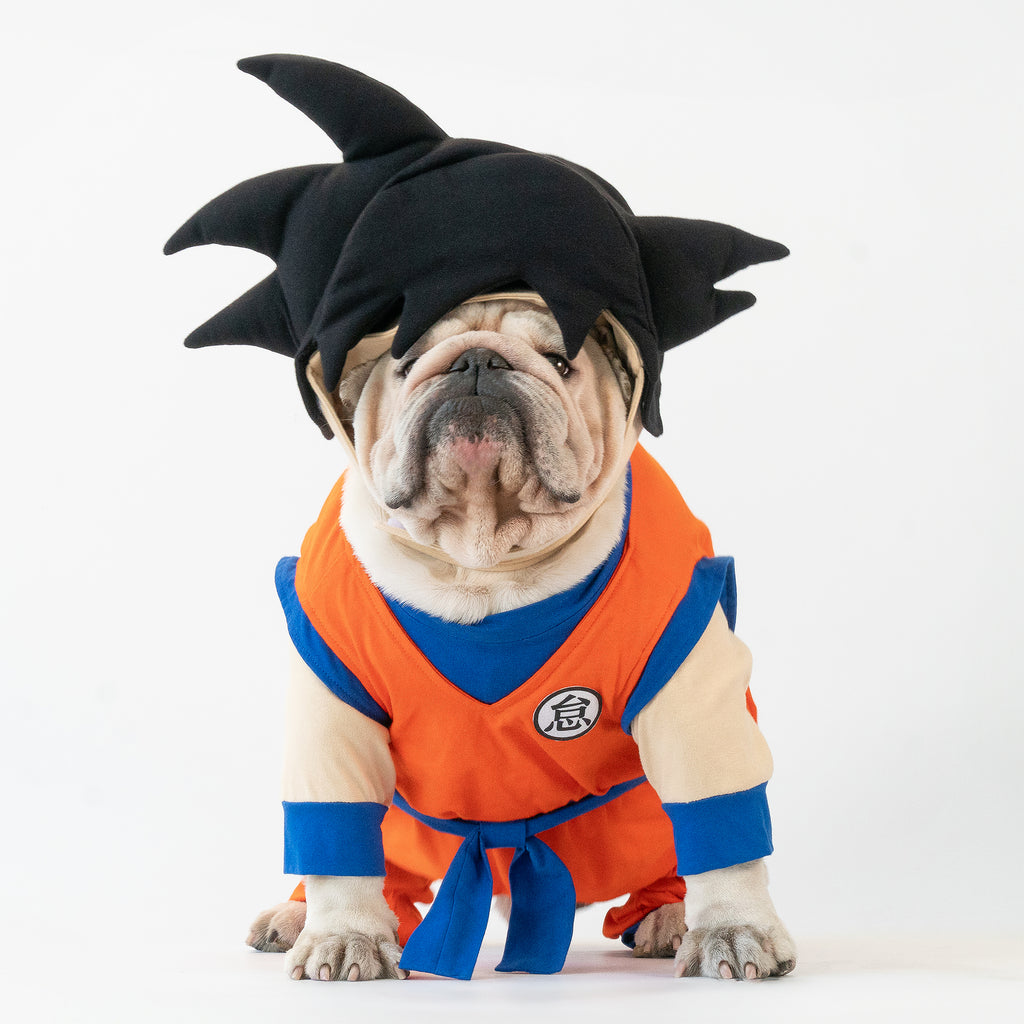 WONTON Goku costume