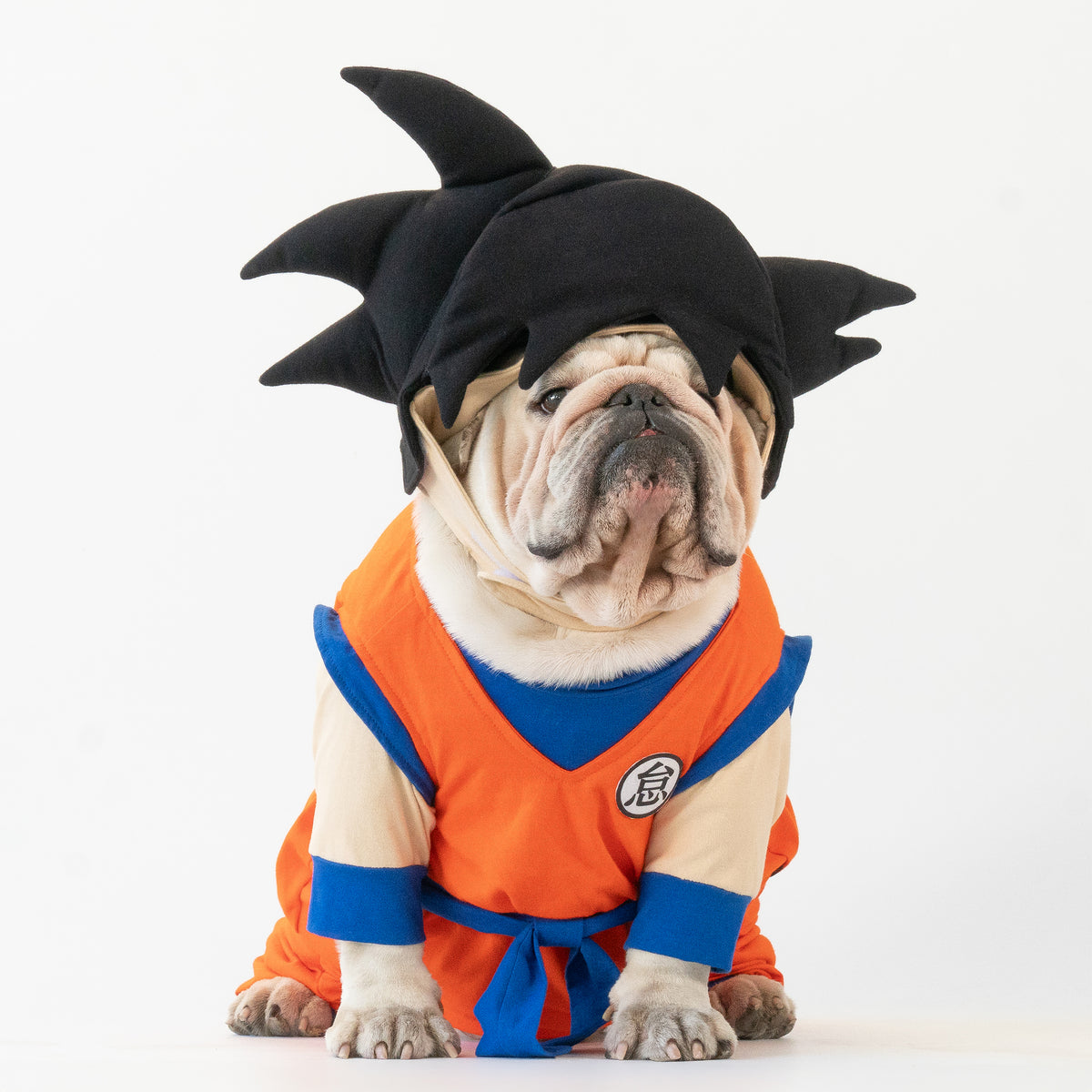 WONTON Goku costume