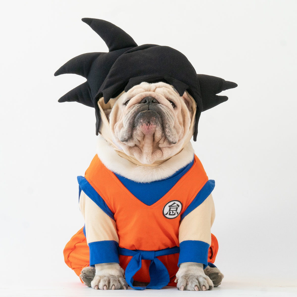 WONTON Goku costume