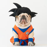 WONTON Goku costume