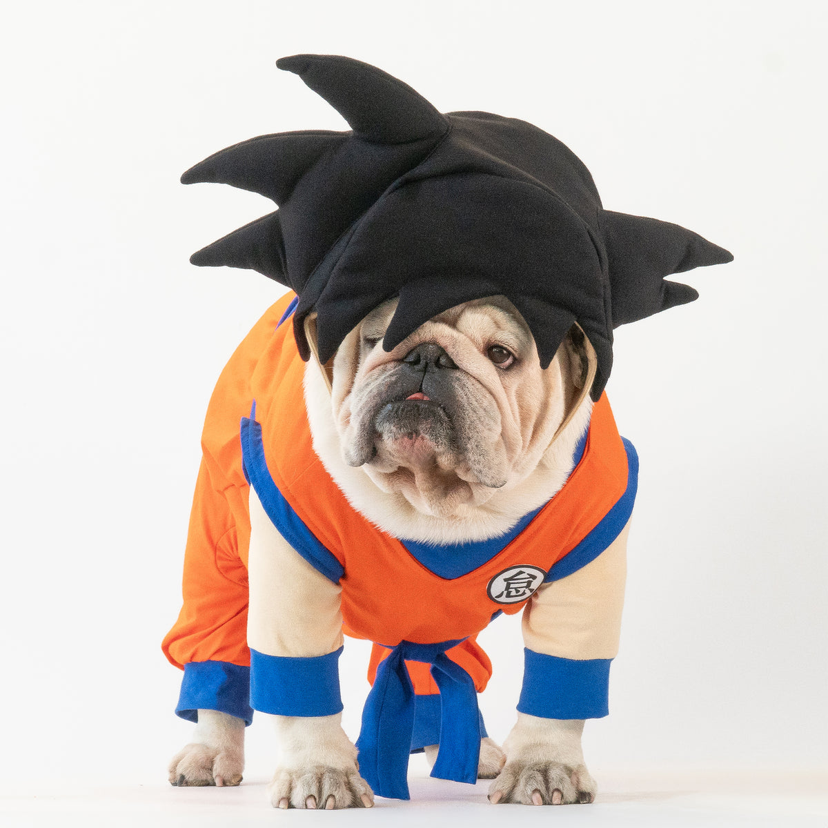 WONTON Goku costume