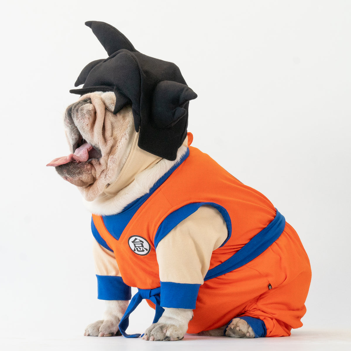 WONTON Goku costume