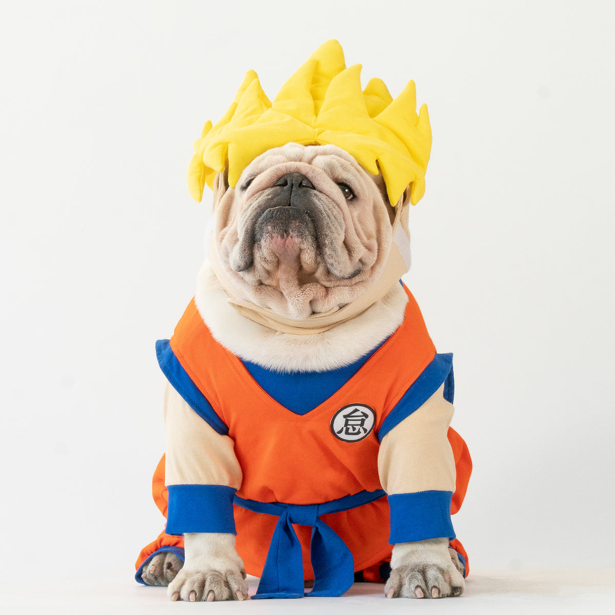 WONTON Goku costume