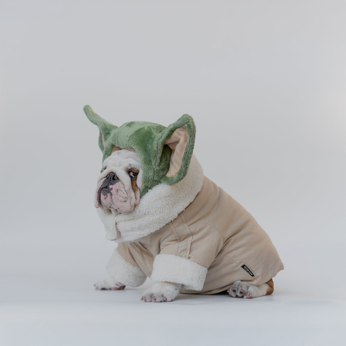 WONTON Grobull costume