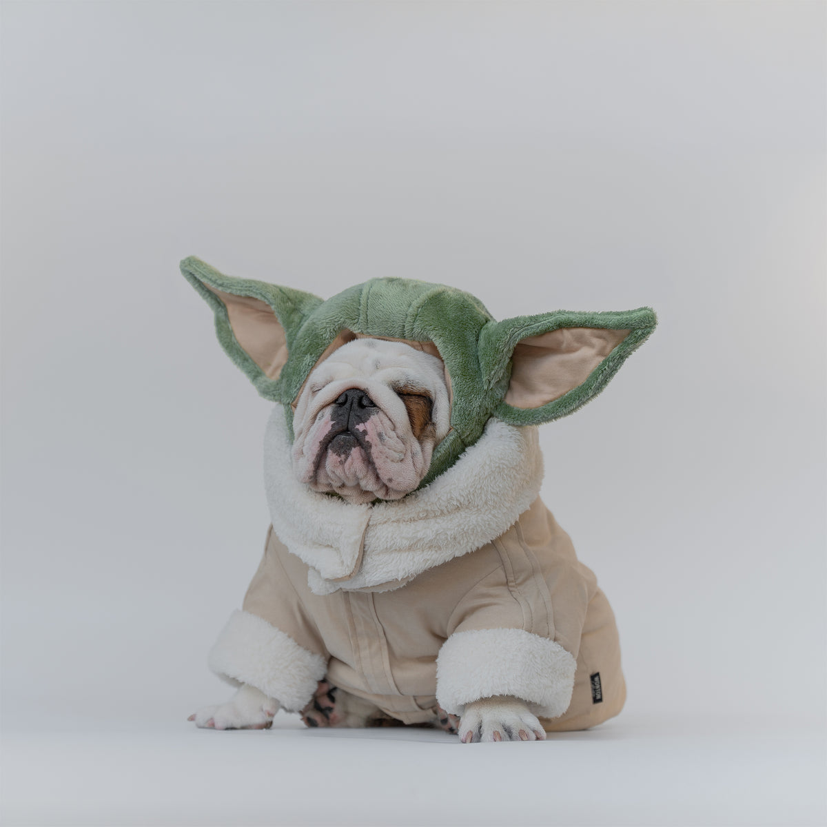 WONTON Grobull costume