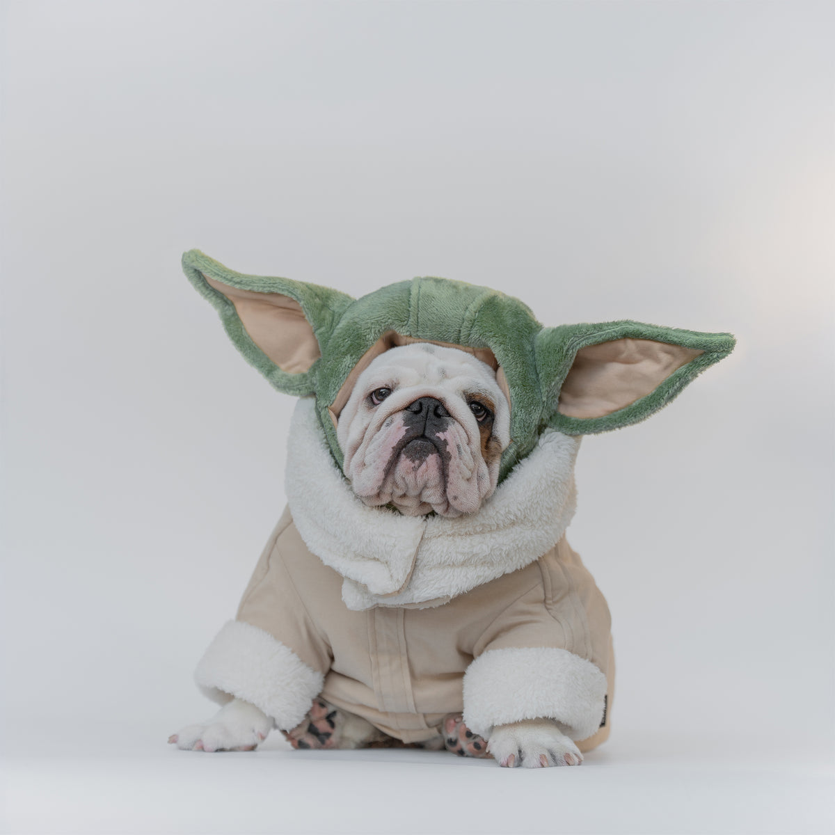 WONTON Grobull costume