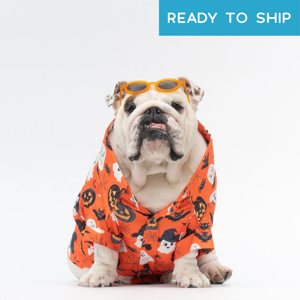 WONTON Halloween 2025 shirt