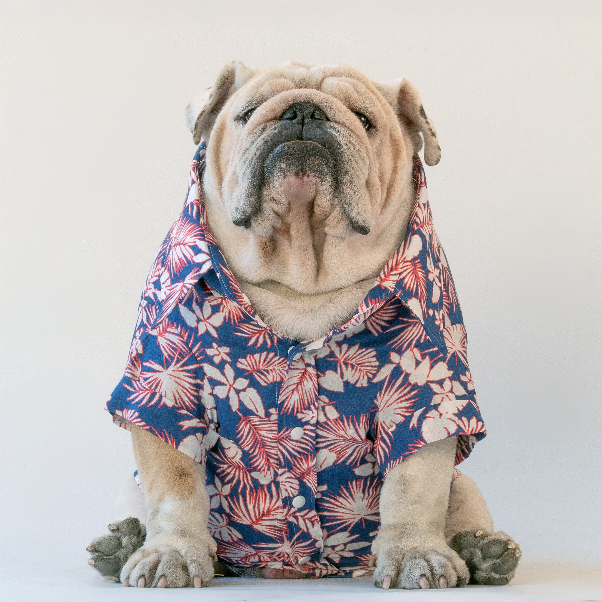 WONTON Hawaiian Chill shirt