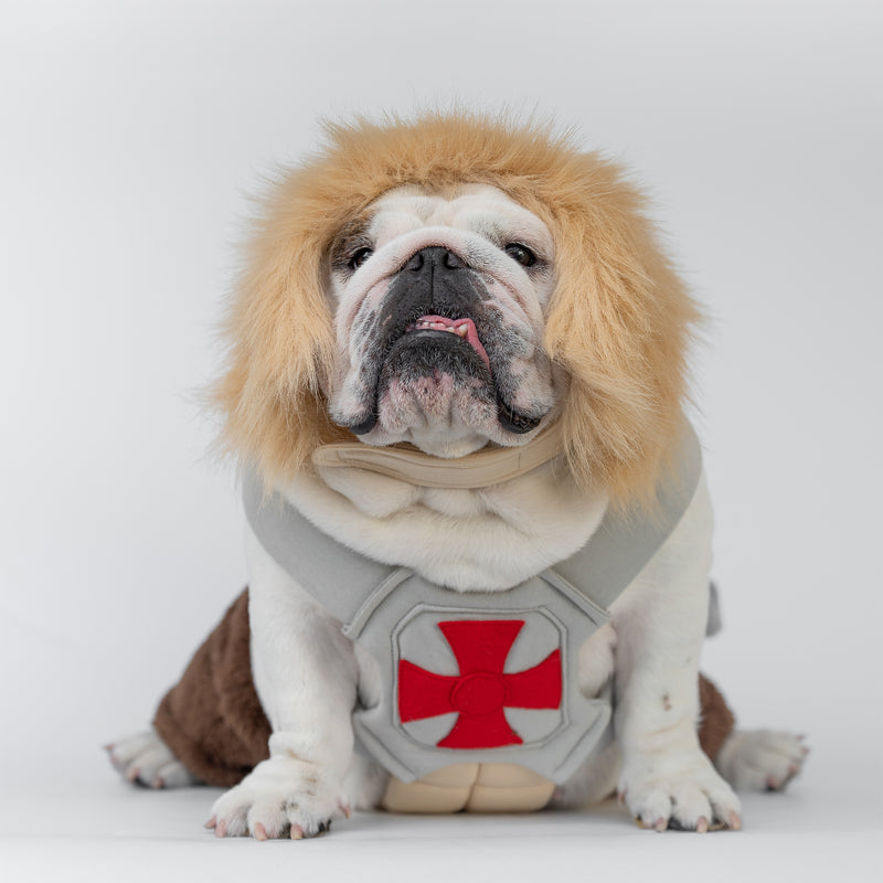 WONTON He-Pup Costume