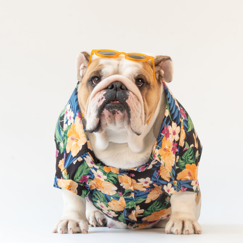 WONTON Into the Garden shirt