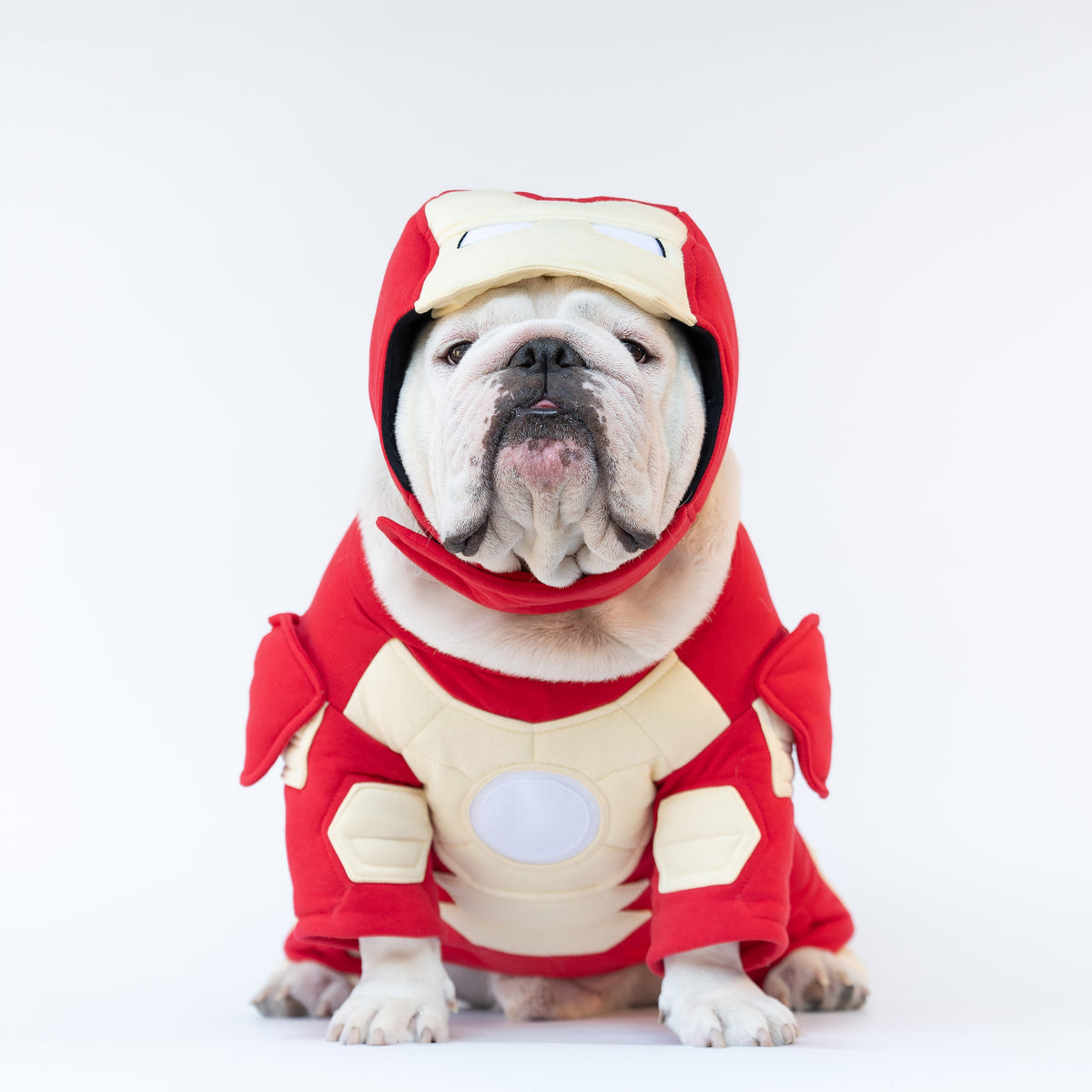 WONTON Iron Hound costume