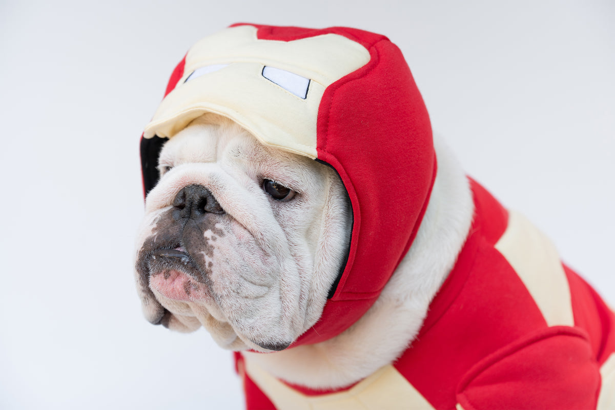 WONTON Iron Hound costume