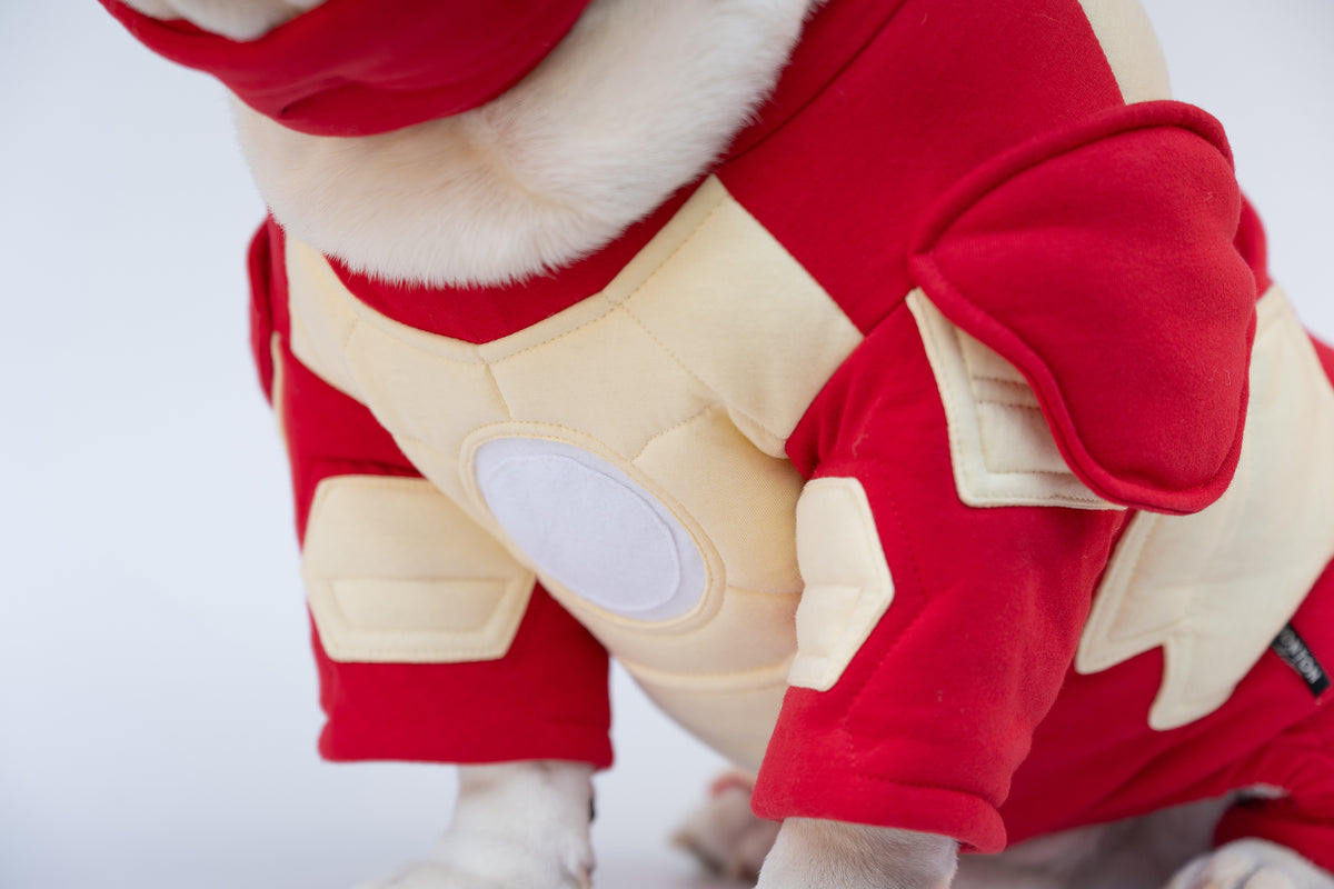 WONTON Iron Hound costume