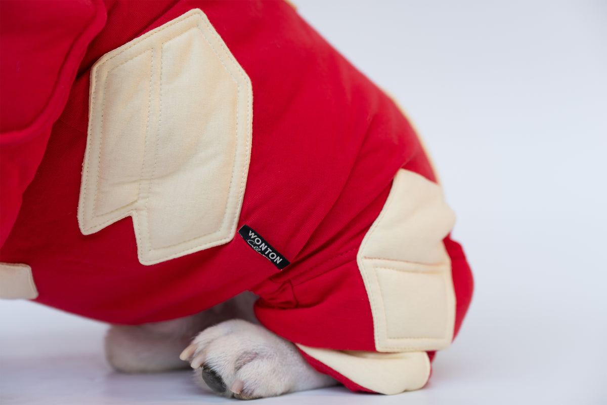 WONTON Iron Hound costume