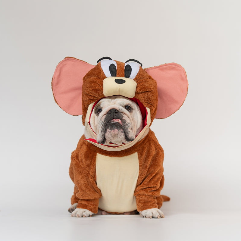 WONTON Jerry costume
