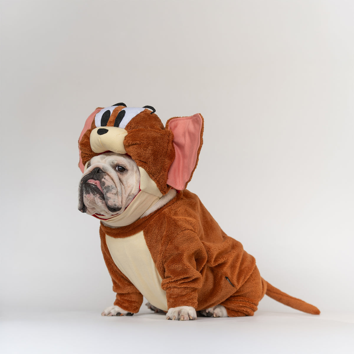 WONTON Jerry costume