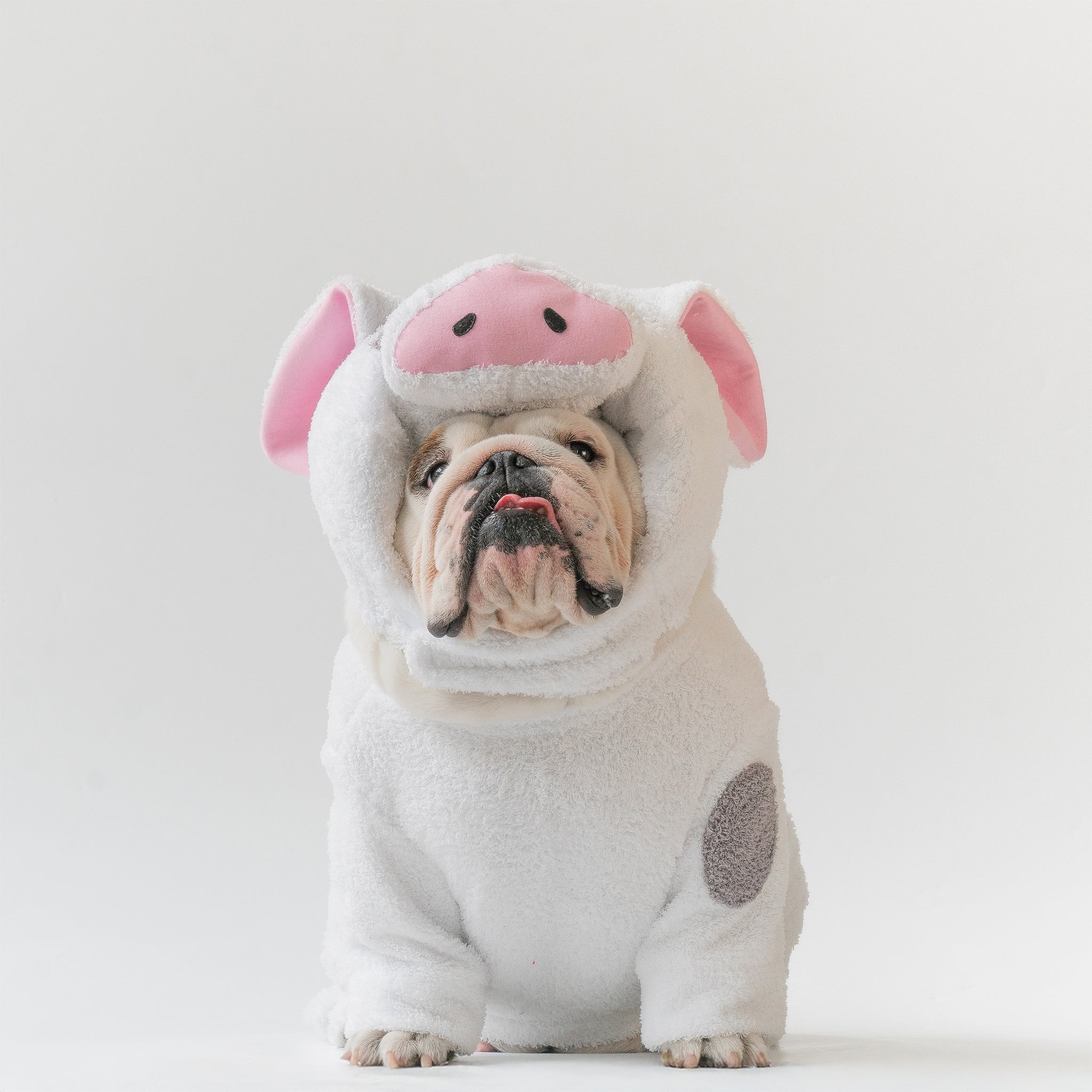 WONTON KuneKune Piglet costume