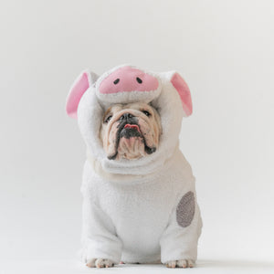 WONTON KuneKune Piglet costume