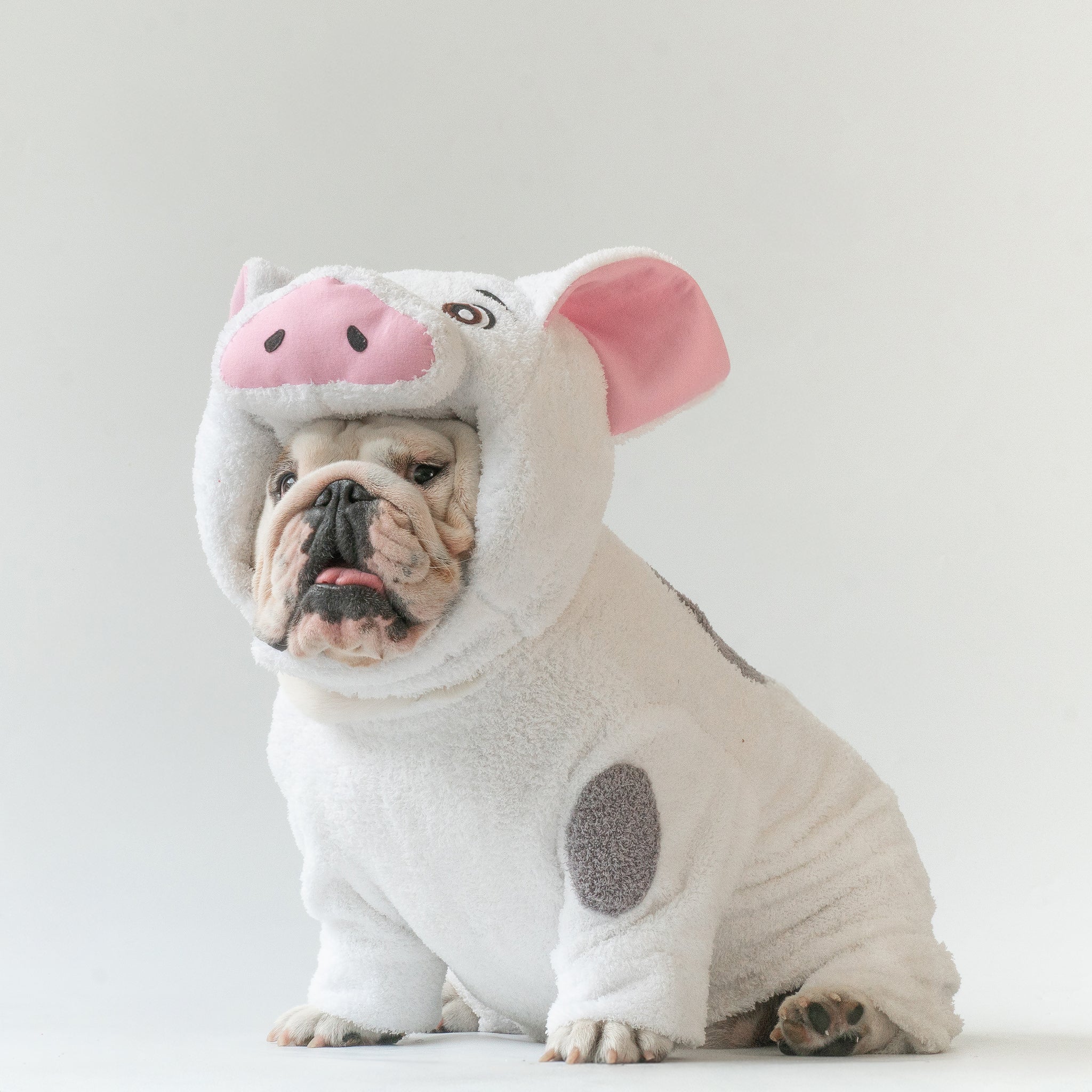 WONTON KuneKune Piglet costume