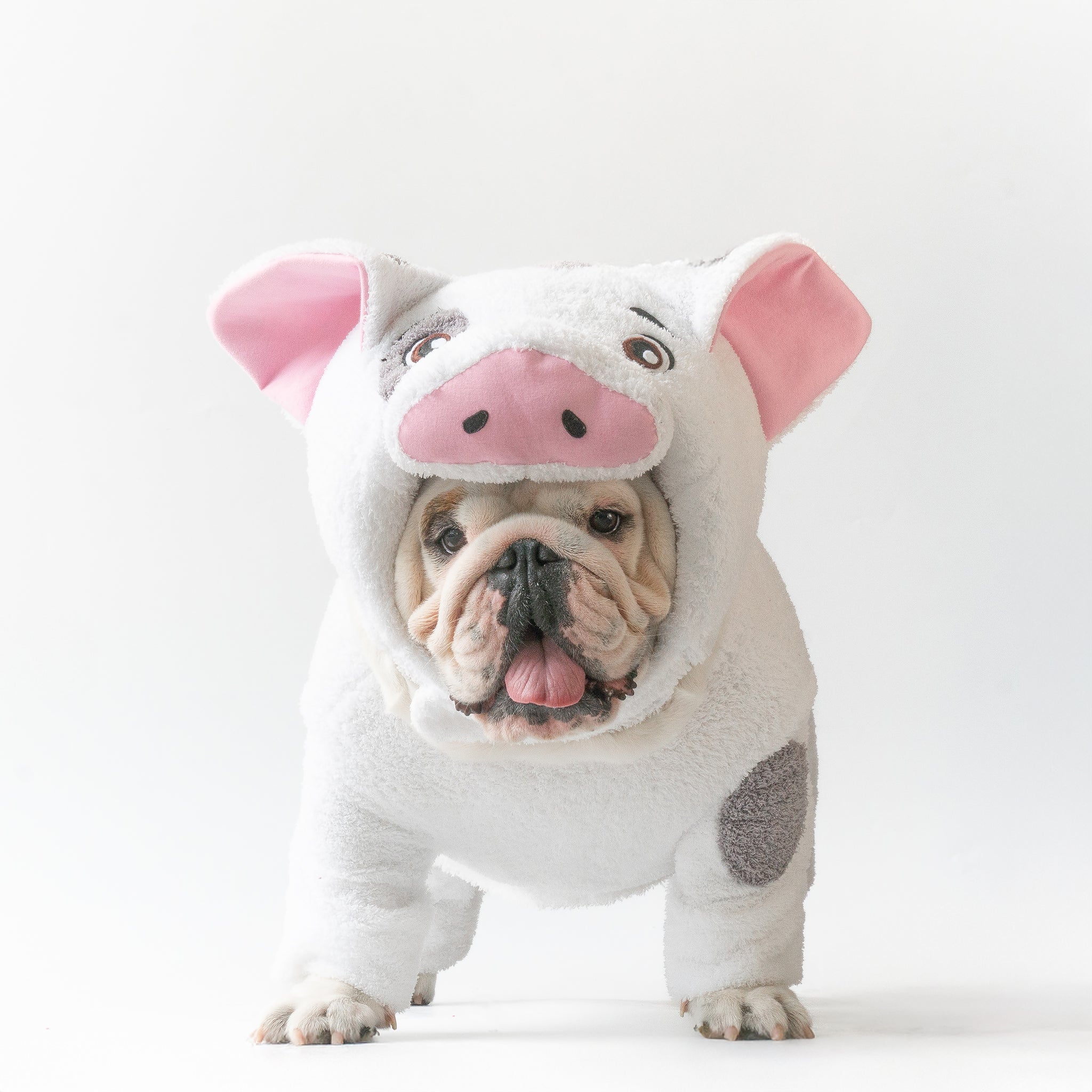 WONTON KuneKune Piglet costume